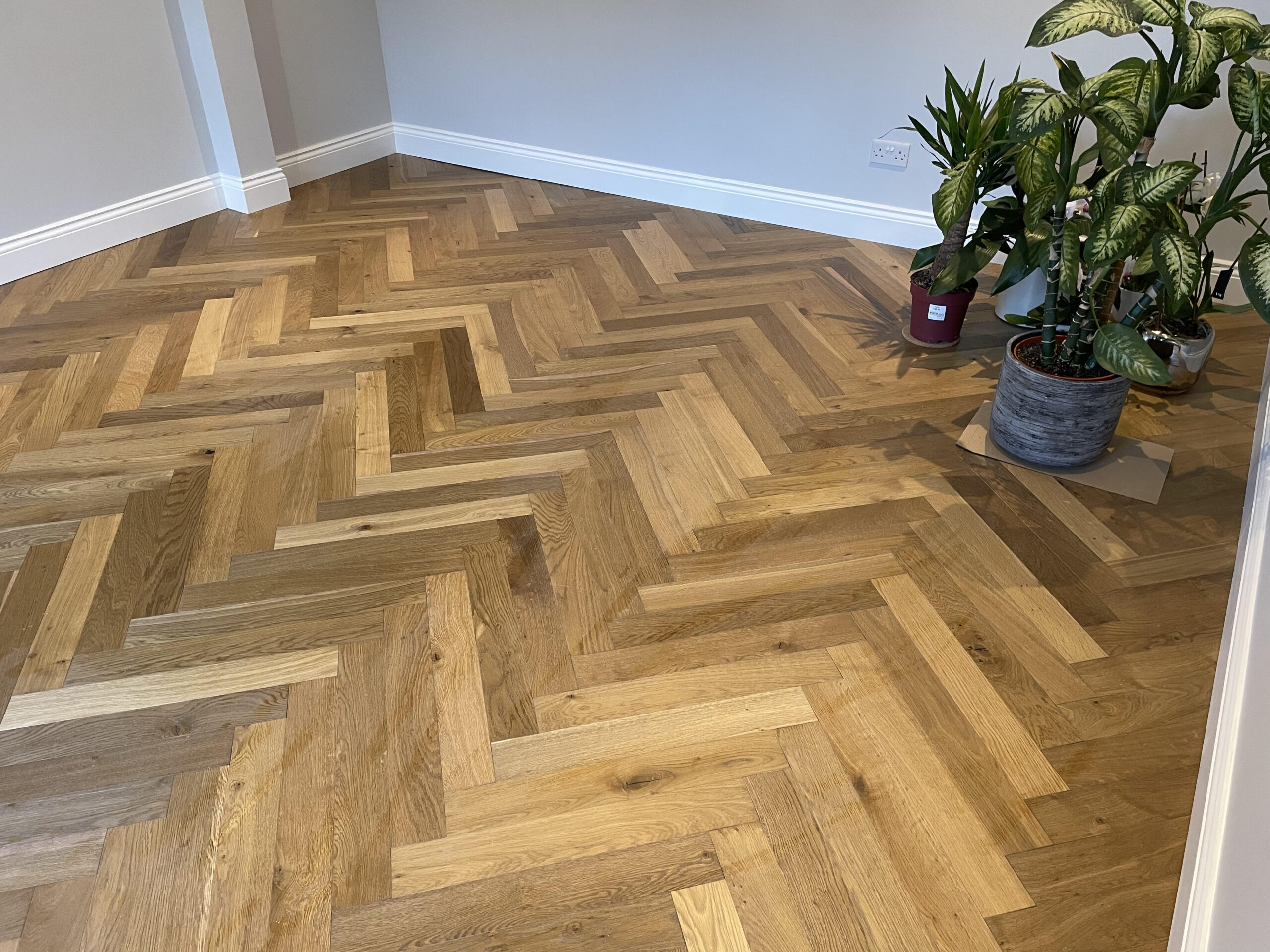 12 X 24 Herringbone Floor 54 - s6zlc9d